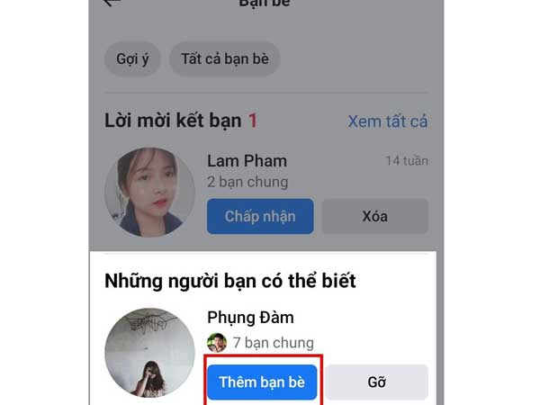 chọn nút "Thêm bạn bè" nằm dưới tên của người dùng mà bạn muốn gửi lời mời kết bạn